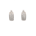 Elegant Diamond Earrings